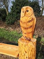 Close up of the Owl bench 